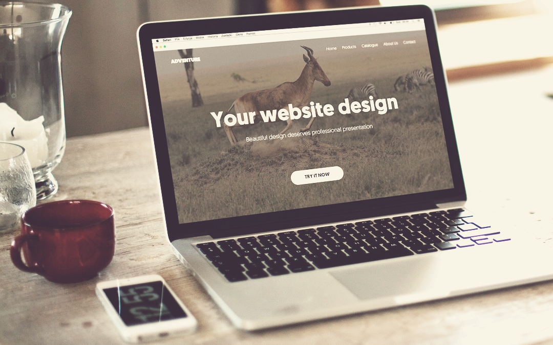 Website Designing Services